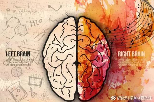 右脑的潜力和吸引力法则,右脑潜力开发最佳时期