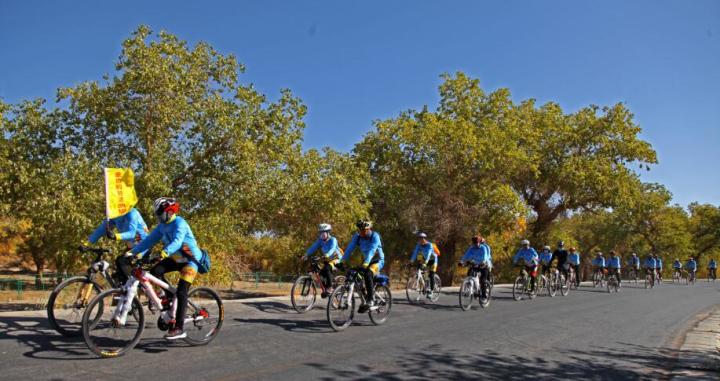 美丽的内蒙古额济纳胡杨林,恋上南山路美图