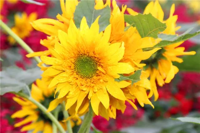 「你说我做之周浦篇」你不可错过的“小上海”，约吗？