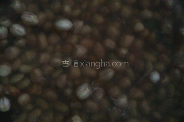 芹菜豆子,芹菜豆子是什么