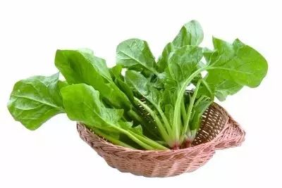 有肺结核吃什么补品,肺结核吃什么补药