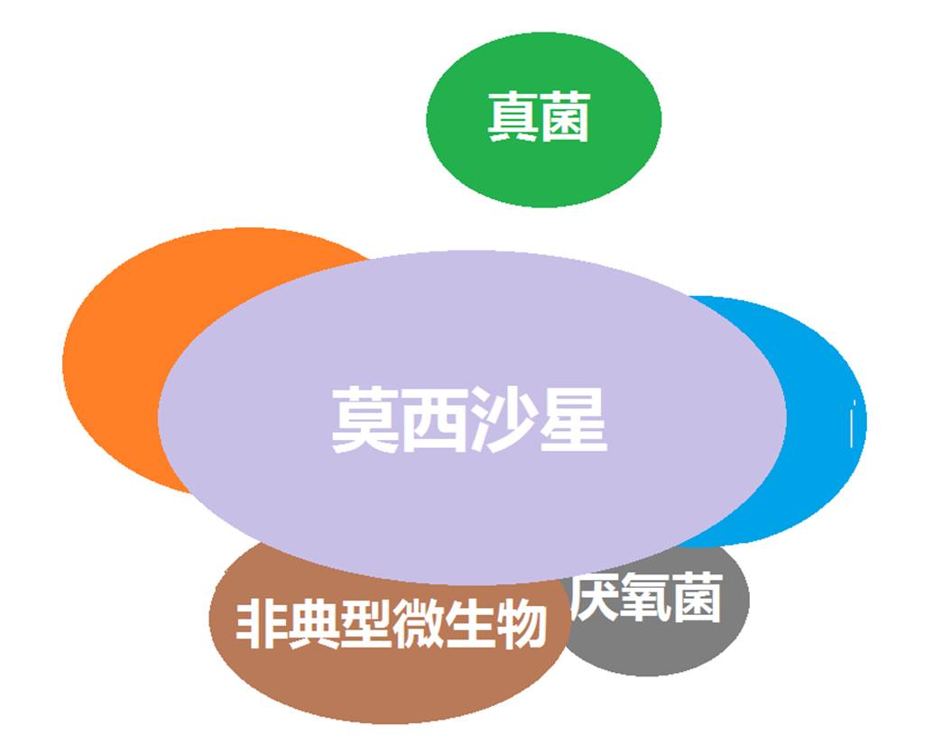 看图“话”抗菌谱，赶紧收藏！