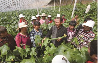 喜迎十九大齐鲁女性在行动临沂篇,喜迎十九大山东临沂
