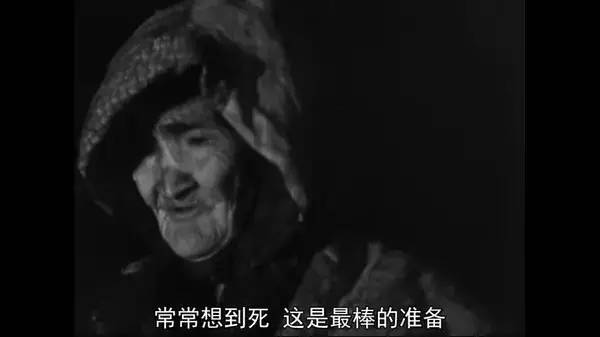 最好的纪录片都在这里了