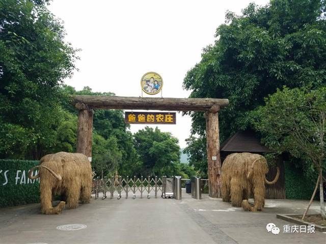 北碚安静的地方,北碚适合安静呆一天的地方