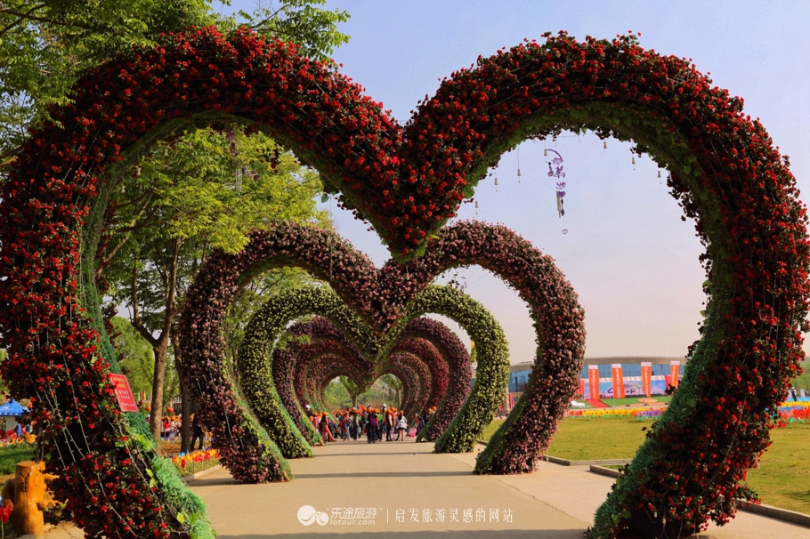 花朦胧雨朦胧鄢陵人17年倾情的花事