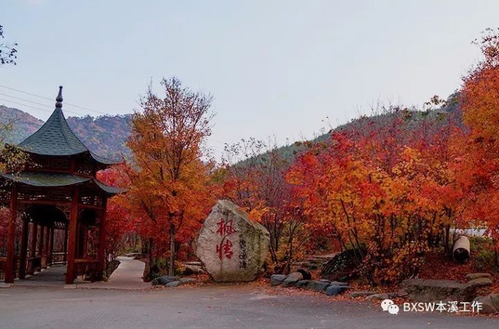 全年最美模式｜本溪预计接待游客650万人次交警送上全新“出行攻略”！