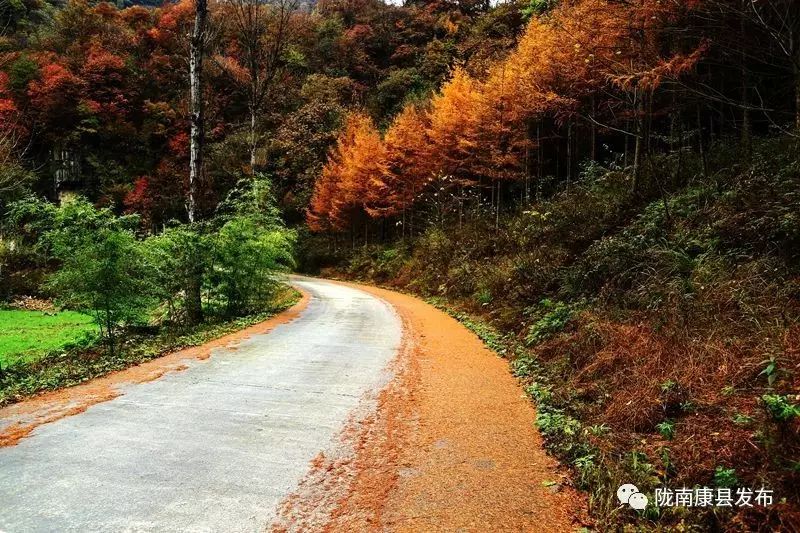 康县美丽的秋天,新县醉美秋景