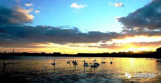 走遍江西100县丰城市,走遍江西之永叔故里