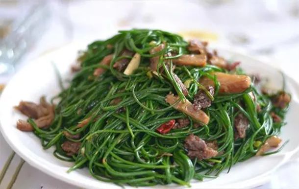 国庆额济纳旗旅游攻略,阿拉善国庆节游玩