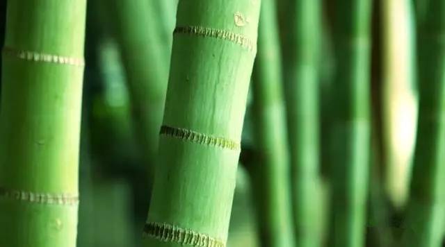 新手怎样才能经营好一家家政公司,如何经营好一家公司