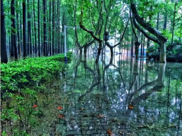 二百块钱玩南京一天,南京有哪些不要钱的游玩地方