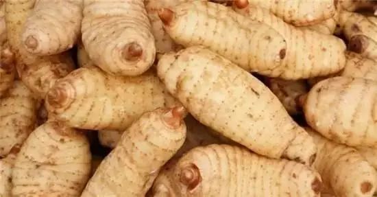 毕节大方天麻公司地址,贵州毕节天麻怎么样