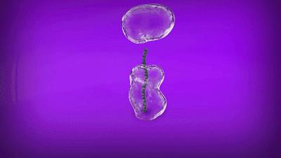 美容利器，竟然也是癌症帮凶！这帮科学家靠消灭体内玻尿酸治疗癌症，一日拿下20亿美元订单｜奇点实力派