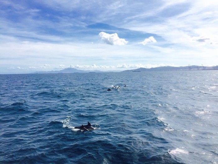 人在年轻时就要拼命,人在年轻时要拼命做事