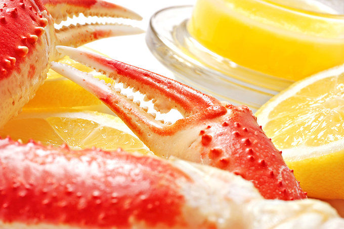 阿拉斯加游记仰望北极光,阿拉斯加走在路上