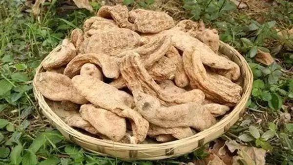 毕节大方天麻公司地址,贵州毕节天麻怎么样