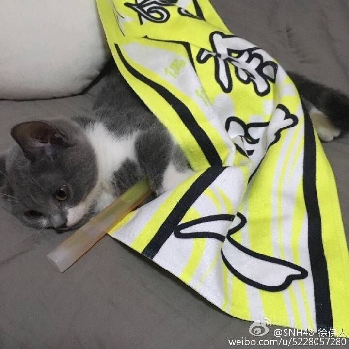 毁童年之“快乐星球”男主角竟然出轨又家暴！还好只爱看第一部！