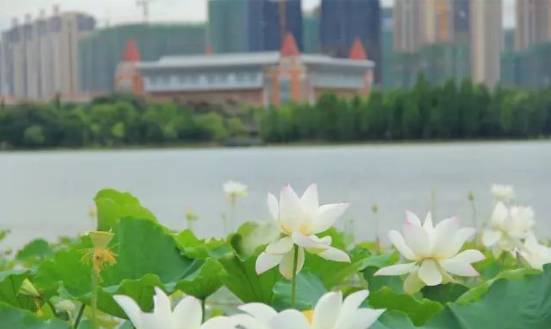 26个字母，让你更加了解赣州！爱上赣州！