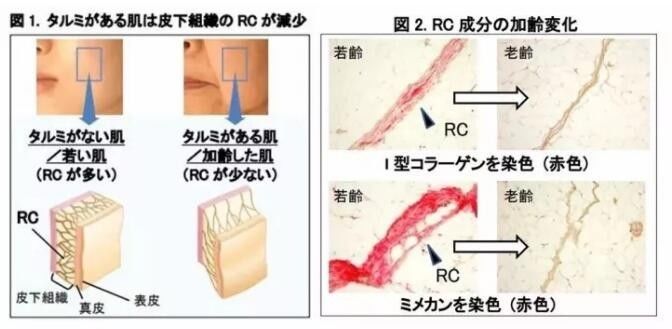 pola居然做了一个能够彻底美颜的艺术品，不信你不动心