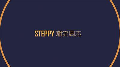 “我”很努力地成为一双球鞋,只是想不到成为了冷门款——《每周冷门球鞋大赏》