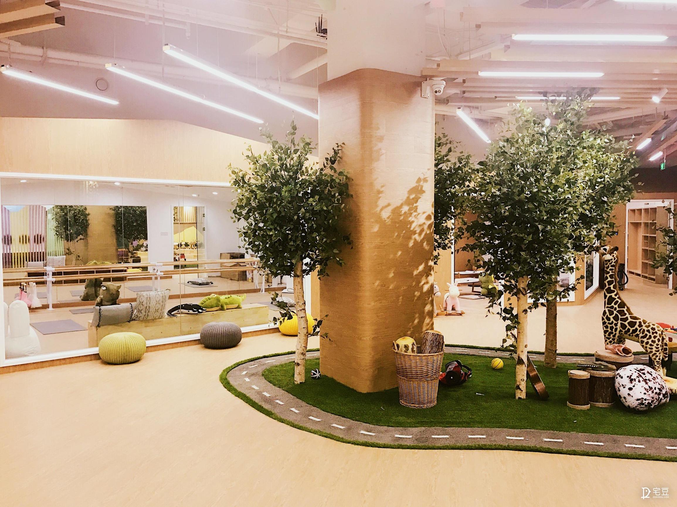 原始森林？动物园？银河系？托儿中心大改造