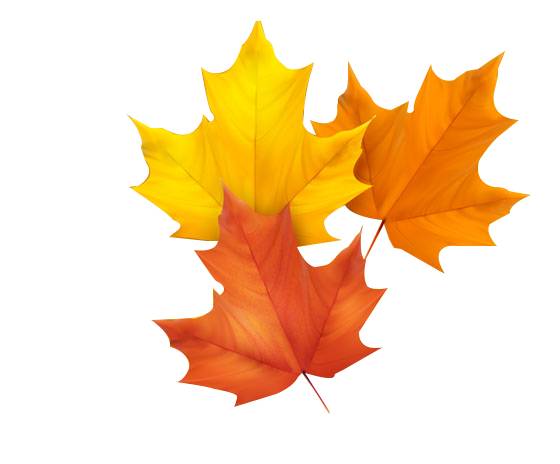 到韩国必买的10款面膜,日本购物必买清单零食