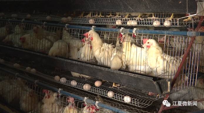 新闻｜阅读两分钟知晓江夏事「2017年10月14日」