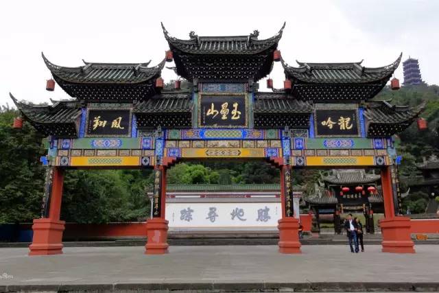 这些令人不可思议的冷知识,这些奇特的冷知识你们知道吗