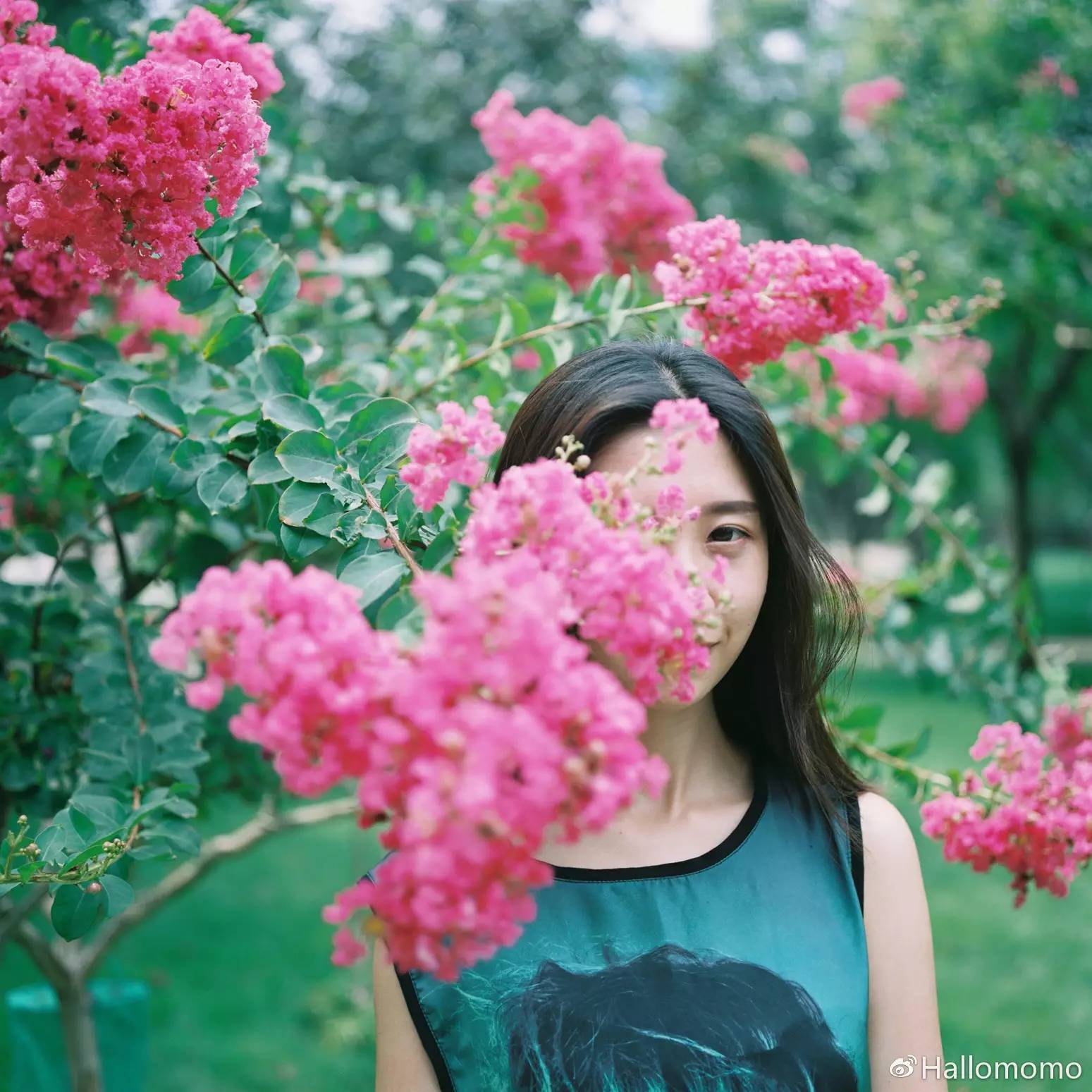 中画幅胶片机推荐,有哪些值得买的胶片机