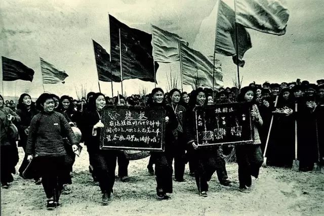 这些令人不可思议的冷知识,这些奇特的冷知识你们知道吗