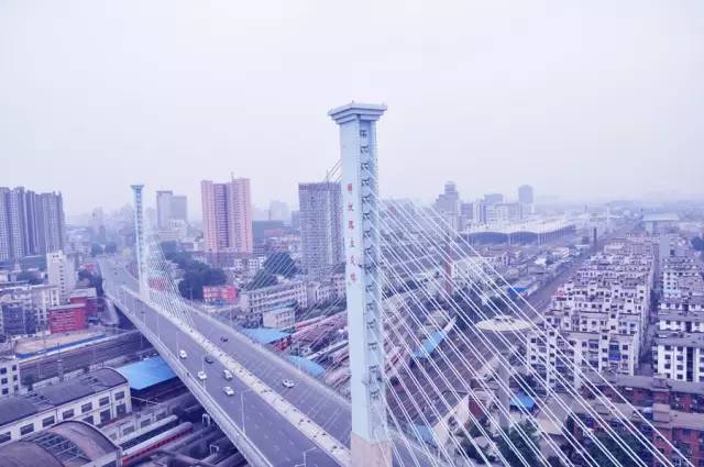 这些令人不可思议的冷知识,这些奇特的冷知识你们知道吗