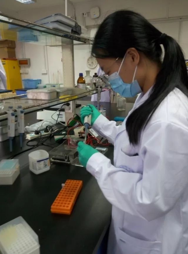 东北大学非医学专业学生也能治病救人做“大夫”，而且专治脂肪肝！