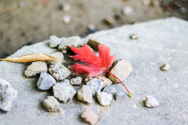 又是一年辅修季，嘘，天财学子已沉迷学习，请勿打搅
