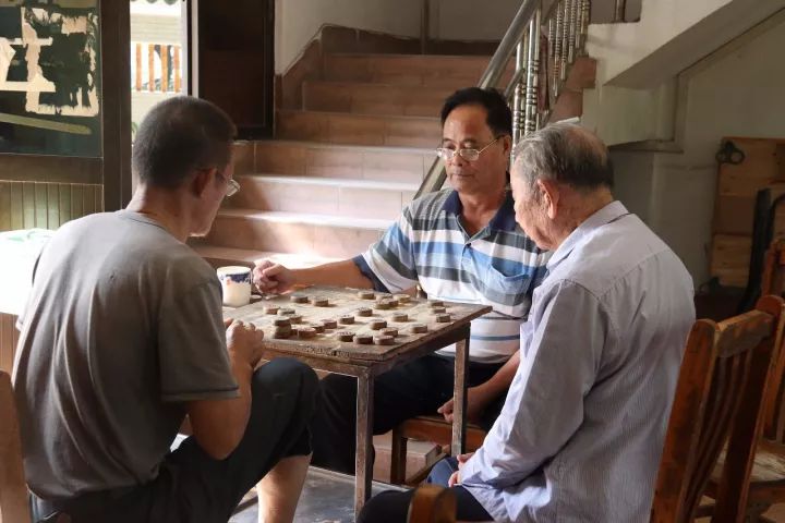 「村居行」荷叶田田，古韵悠扬！寻访禅城这条古村，沉醉不知归路