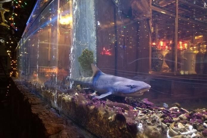 福州最贵夜店排名,福州高档夜店有哪些