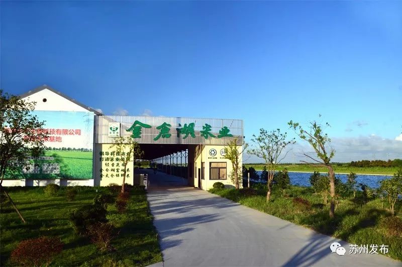 苏州最好吃的新米,苏州新米