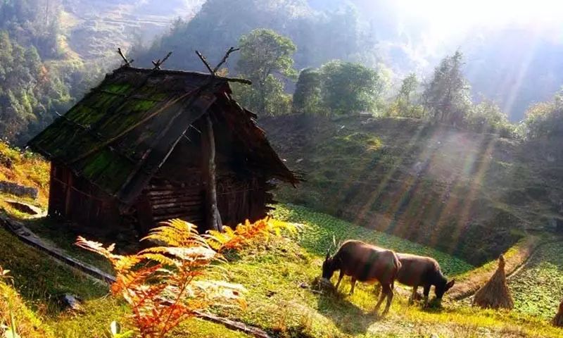 贵阳爬山看风景,贵阳有座望日坡登高赏秋好去处
