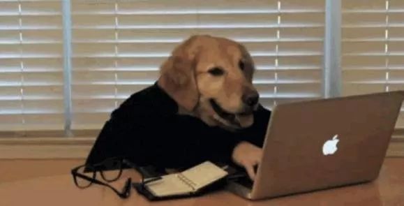 在阜阳月入过万,在阜阳一个月挣5000有那么难吗