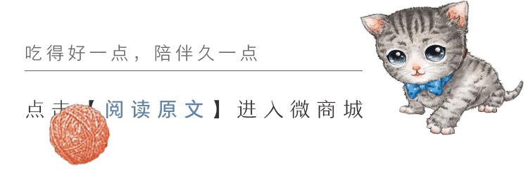 宠物小知识为什么狗狗喜欢埋东西,狗狗洗澡后不让吹毛怎么办