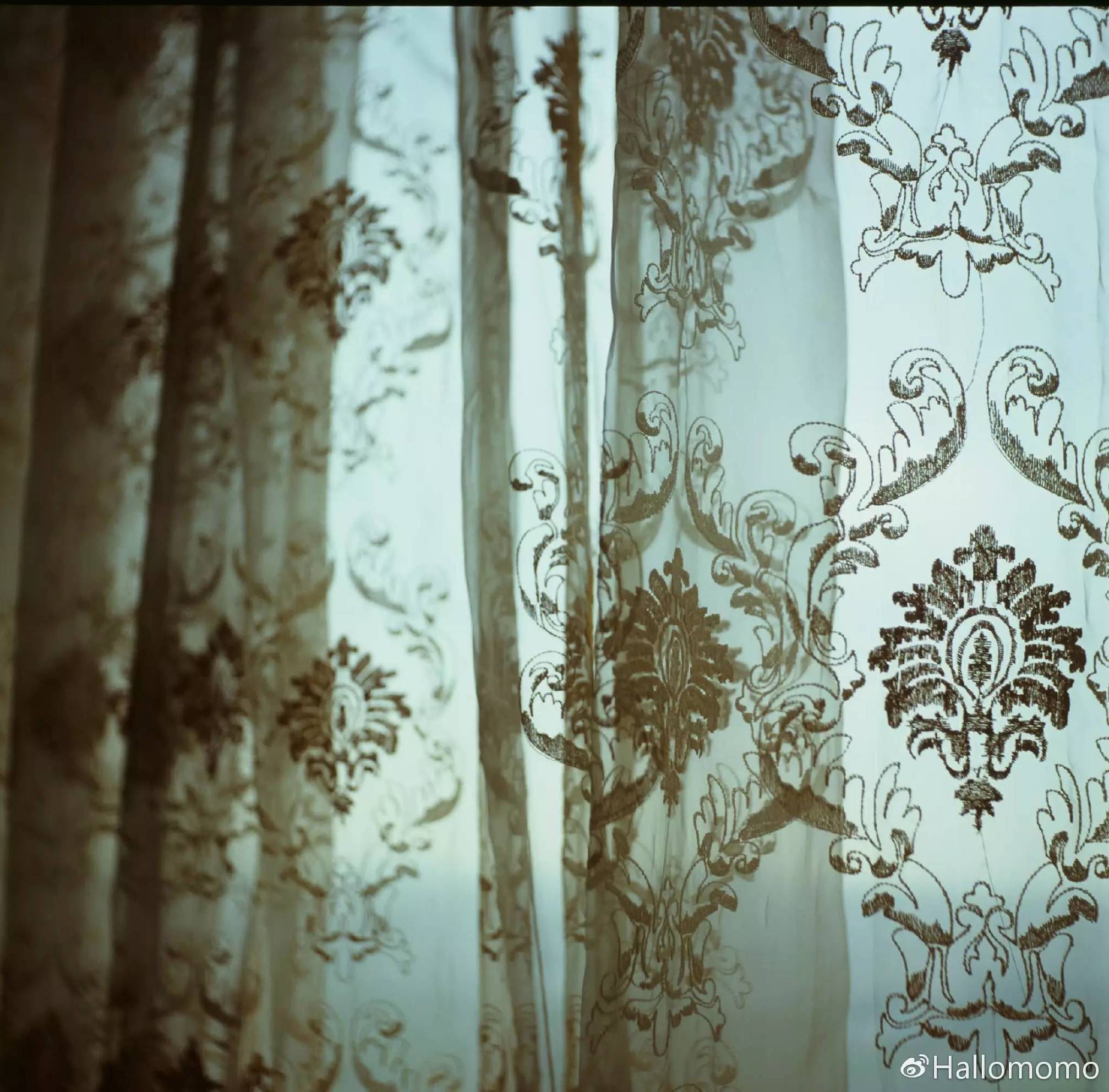 中画幅胶片机推荐,有哪些值得买的胶片机