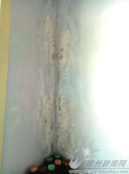 房屋墙体返潮维修方案,楼房砖墙返潮长毛咋治理