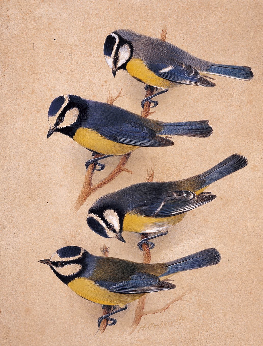 书籍人类的营养品莎士比亚,莎士比亚曾说书籍是人类的营养品