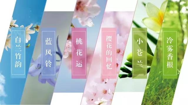 80以内香水女士,适合年轻人的爆款女士香水