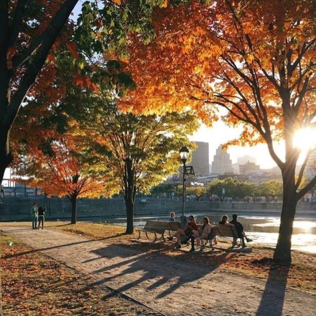 琛岃蛋鑹烘湳涔嬪煄钂欑壒鍒╁皵,钂欑壒鍒╁皵鍙ゅ煄