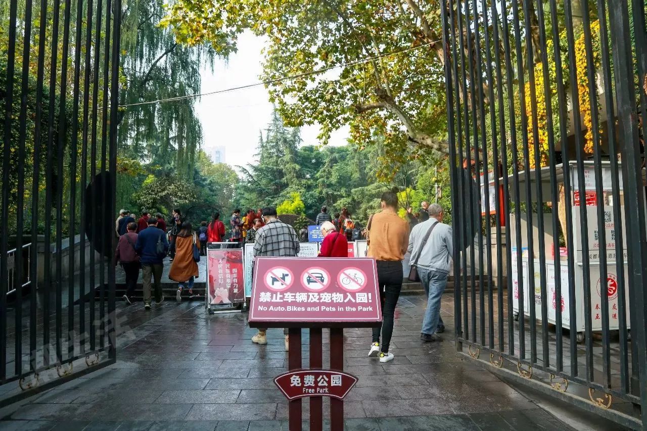 成都干货最全攻略,成都攻略免费