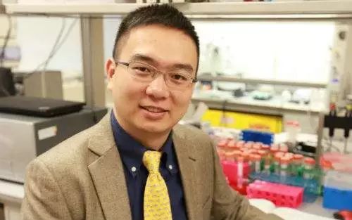 华人科学家顾臻发现了什么,科学家顾臻