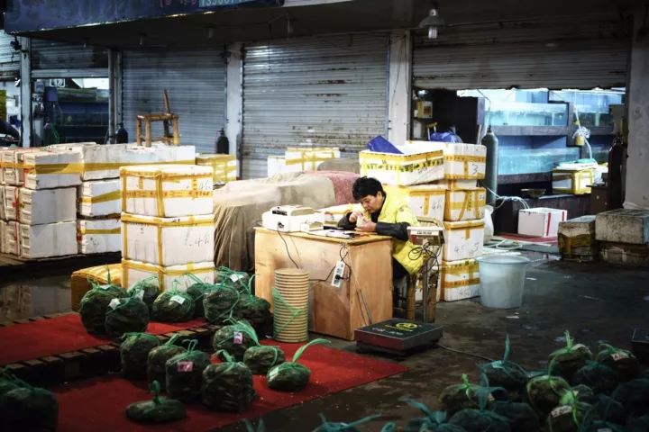 上海吃海鲜必去的地方推荐,距离上海2小时内车程的景点