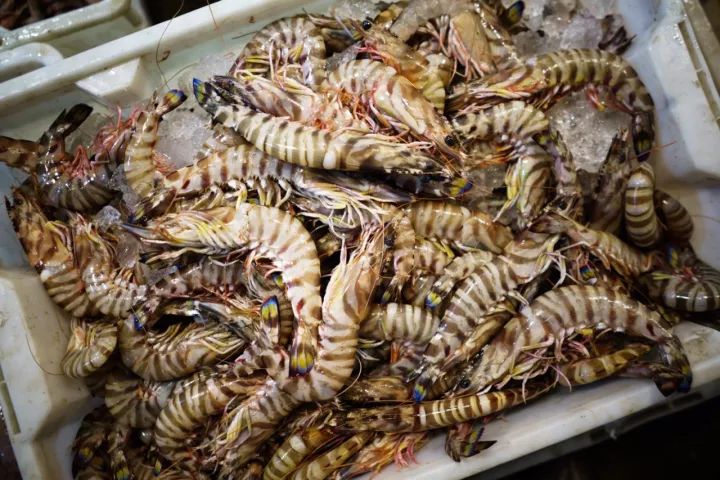 上海吃海鲜必去的地方推荐,距离上海2小时内车程的景点