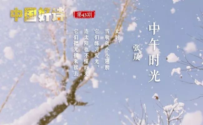 中国好诗第41期,中国好诗歌150集